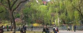 8 Great Sites of Beijing - 2 Qiong Dao Chun Yin - A